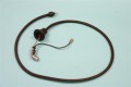 69-70 Shift Indicator Light, C4 & C6 - Restored Original