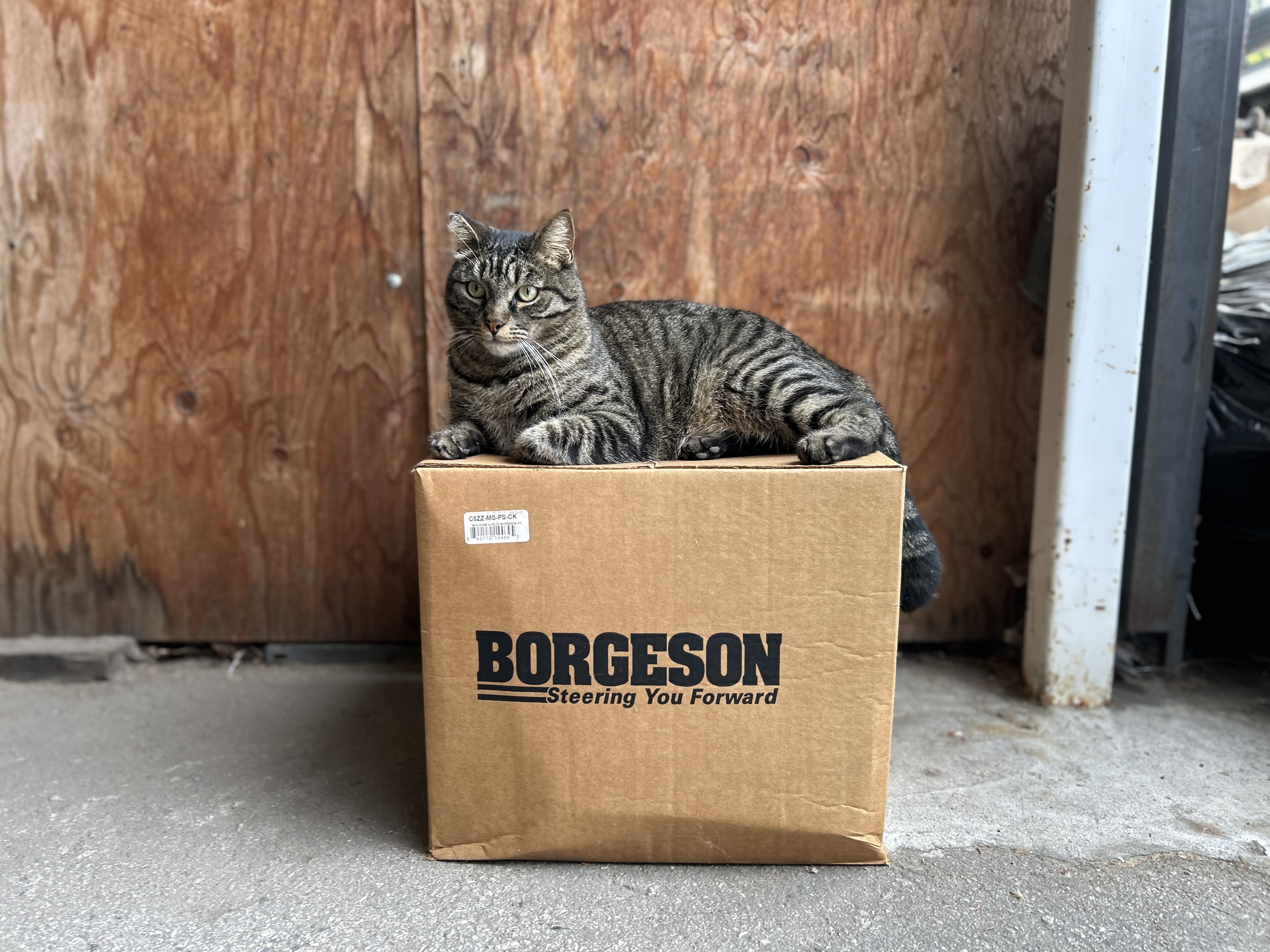 Buddy Employee of the Month